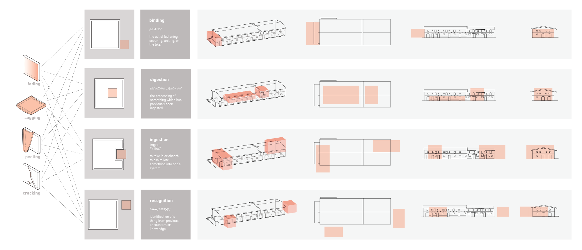 generacjipolska_diagrams02.png