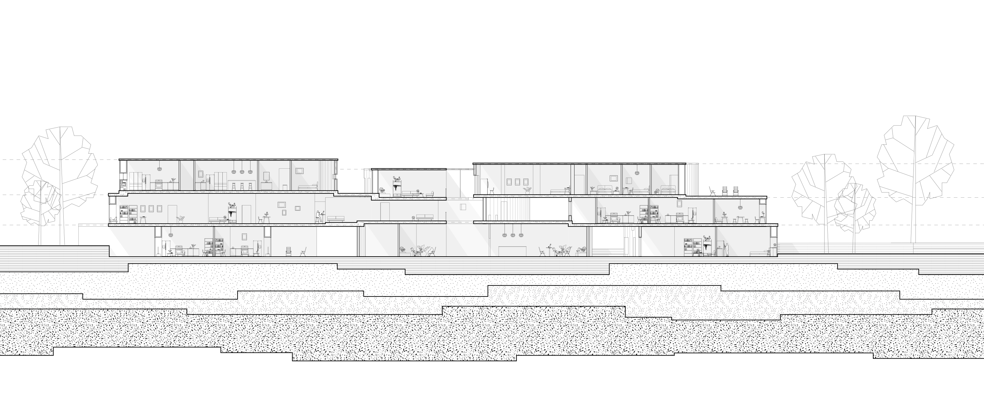 angeline-phan-shannon-lawler_arch-2020_02.png