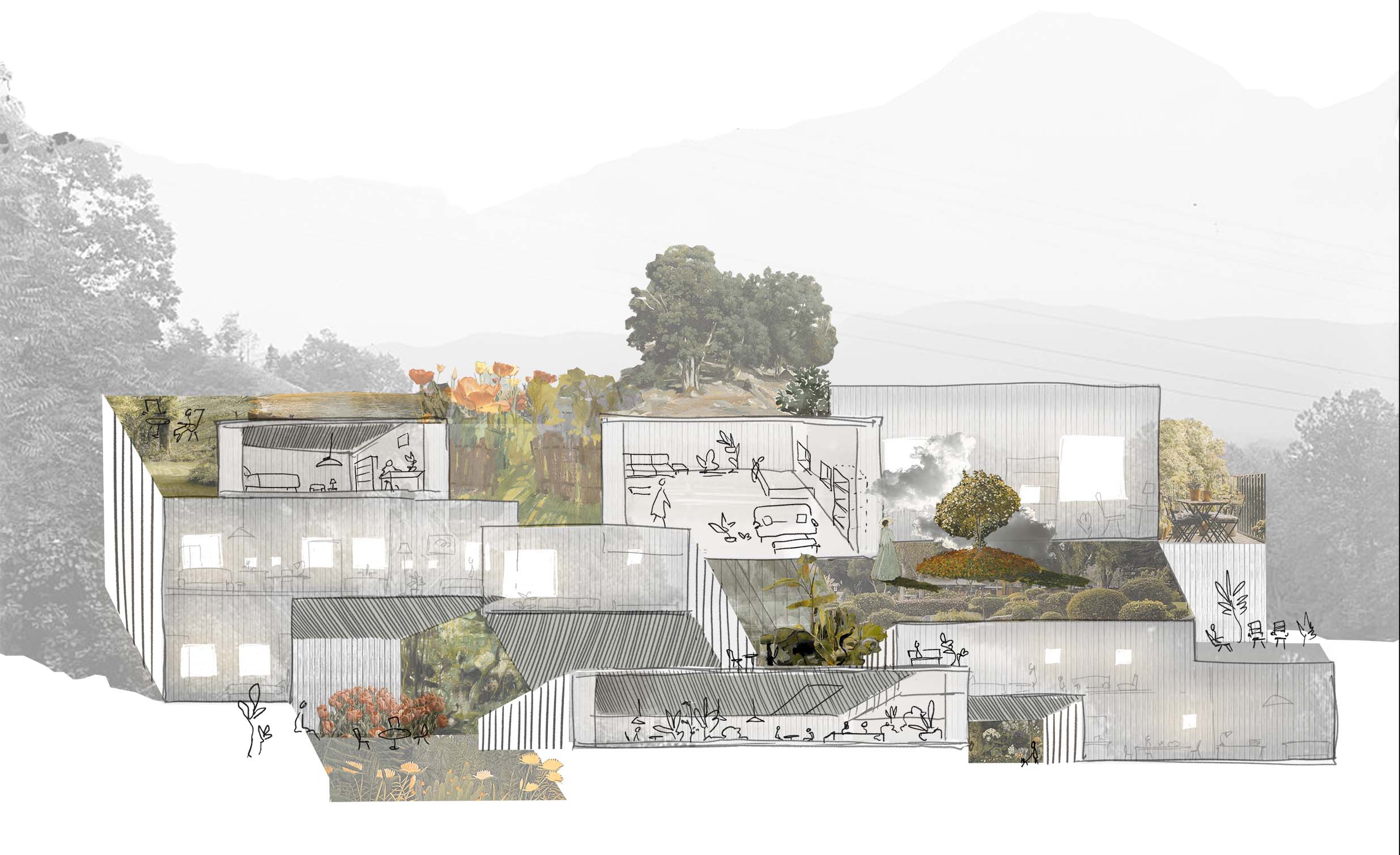 angeline-phan-shannon-lawler_arch-2020_01.jpg